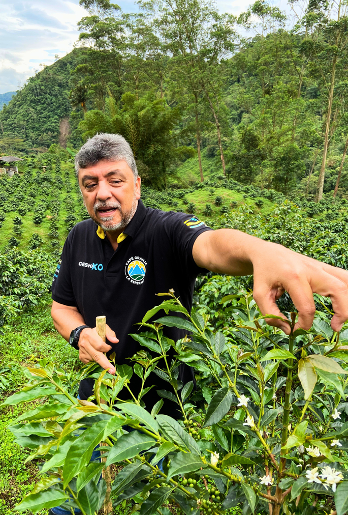 Colombia Las Margaritas Red Bourbon HONEYSIP Specialty coffee 5